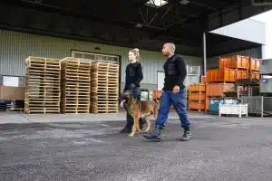 Sicherheitspatrouillen am Bahnhof mit Hund