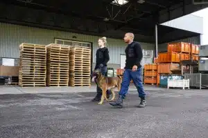 Sicherheitspatrouillen mit Hund